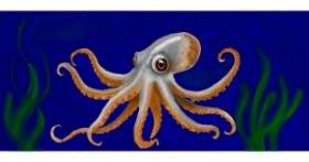 Drawing of Octopus by Annie
