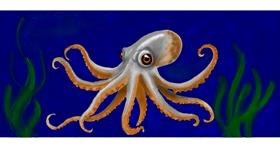 Drawing of Octopus by Annie