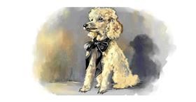Drawing of Poodle by Yellow Walrus💛