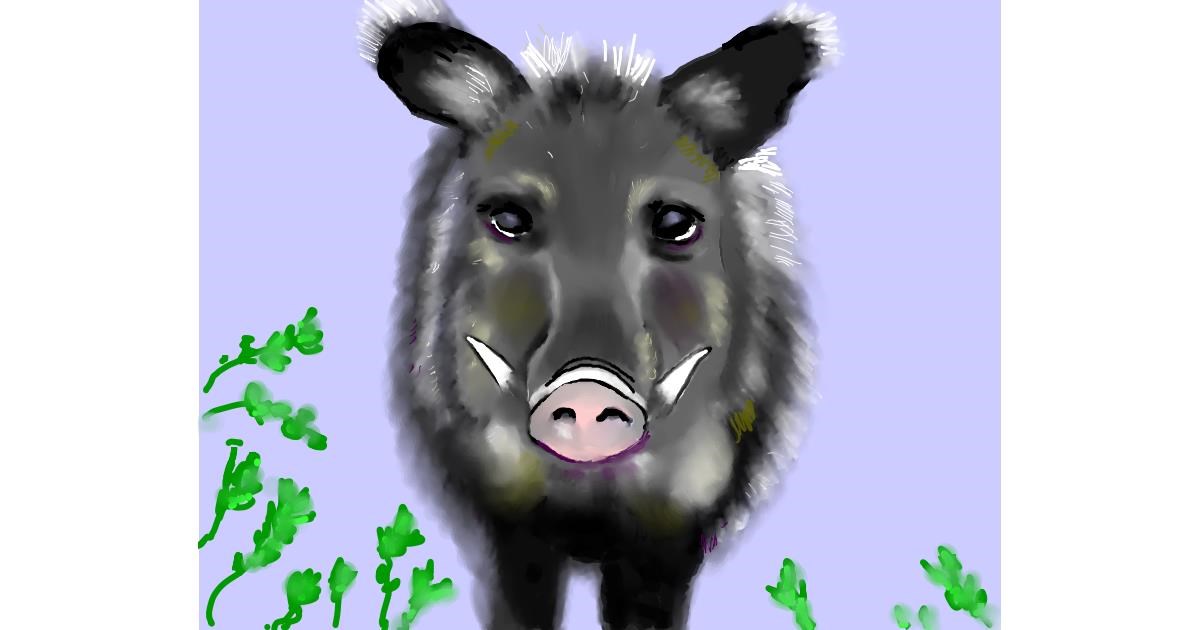 Drawing of Wild boar by Cec