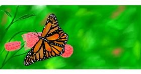 Drawing of Butterfly by Petya