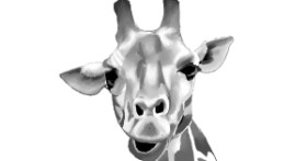 Drawing of Giraffe by ImagineBastille
