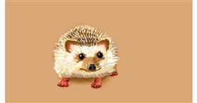 Drawing of Hedgehog by shiNIN