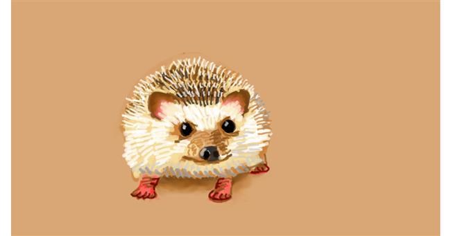 Drawing of Hedgehog by shiNIN