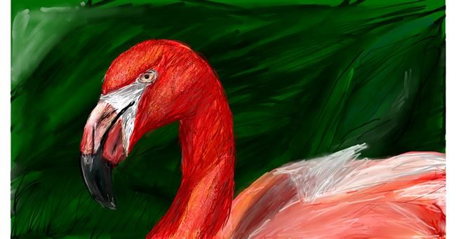 Drawing of Flamingo by Mia