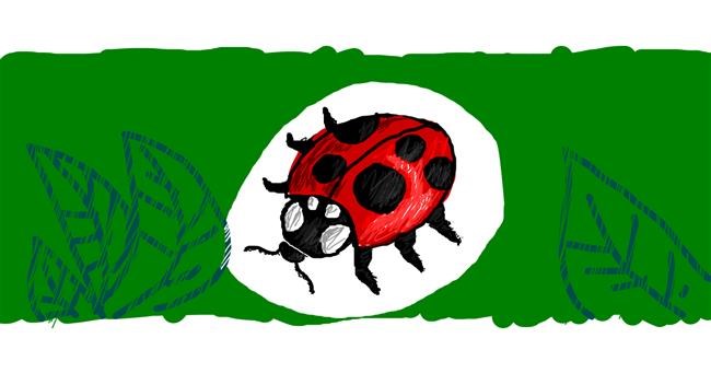 Drawing of Ladybug by Nan