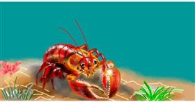Drawing of Lobster by Eclat de Lune