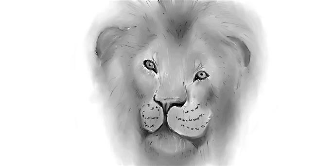 Drawing of Lion by IceCream
