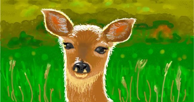 Drawing of Deer by shiNIN