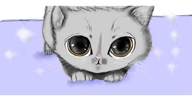 Drawing of Kitten by Robin