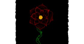 Drawing of Rose by tiny=)