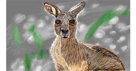 Drawing of Kangaroo by Mia