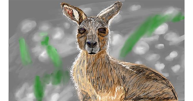 Känguru-Zeichnung von Mia