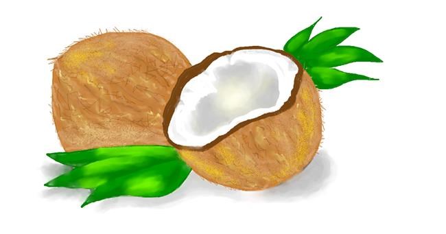 Drawing of Coconut by Debidolittle