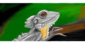 Drawing of Lizard by Jackson Potluck