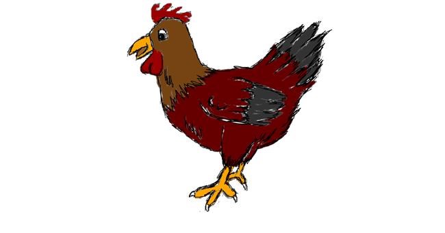 Drawing of Chicken by Rui