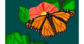 Drawing of Butterfly by Humo de copal