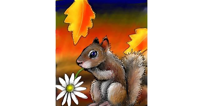 Eichhörnchen-Zeichnung von Leah
