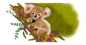 Drawing of Koala by justme❤️
