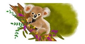 Koala - autor: justme❤️