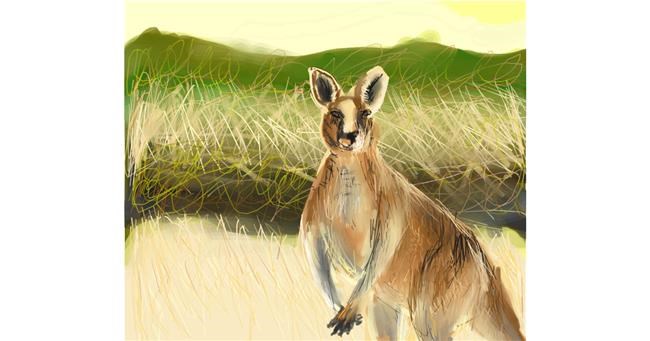 Känguru-Zeichnung von Muni