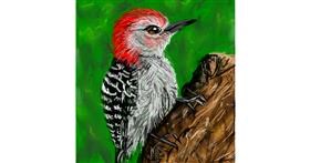 Drawing of Woodpecker by KayXXXlee