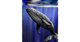 Drawing of Whale by pikapy