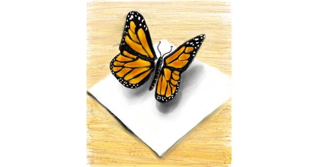 Schmetterling-Zeichnung von 👽mint