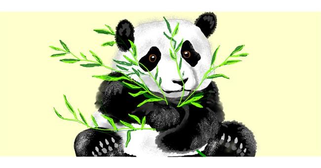Drawing of Panda by Debidolittle