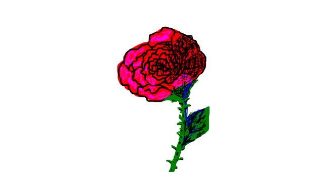 Drawing of Rose by bloop