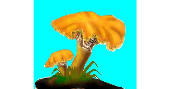 Drawing of Mushroom by Dexl