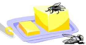 Drawing of Butterfly by Swimmer