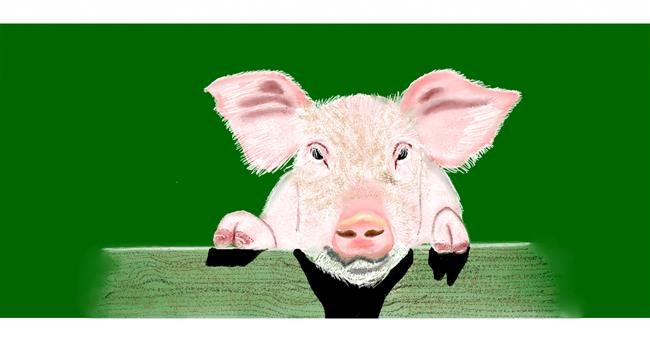 Schwein-Zeichnung von Chaching