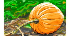 Drawing of Pumpkin by Flowerpot