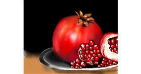 Drawing of Pomegranate by Cec