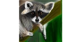 Drawing of Raccoon by Lou