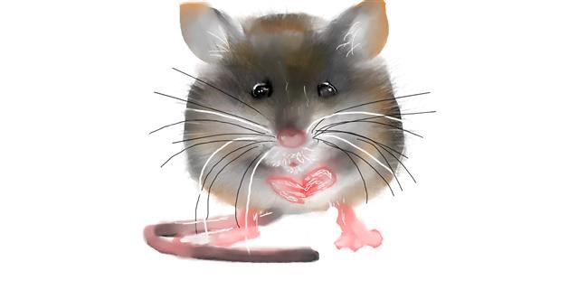 Maus-Zeichnung von Mandy Boggs