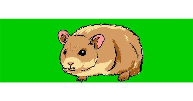 Drawing of Hamster by ThasMe13