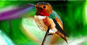 Drawing of Hummingbird by Soaring Sunshine