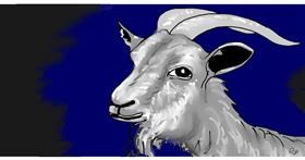 Drawing of Goat by Swimmer