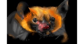 Drawing of Bat by Edgar