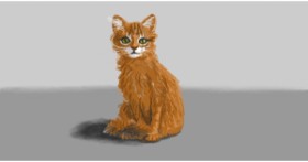 Drawing of Cat by shiNIN