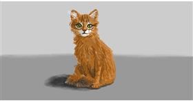 Drawing of Cat by shiNIN