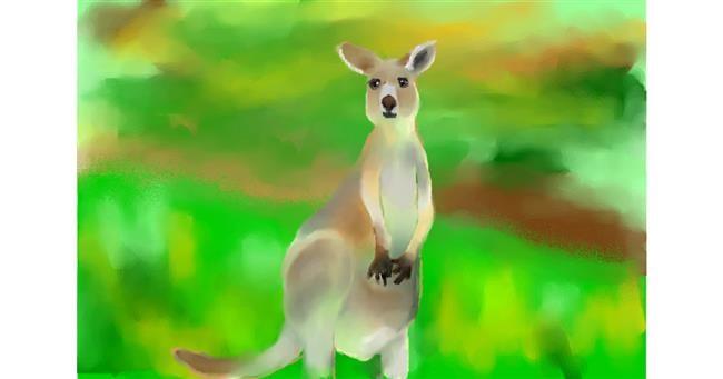 Drawing of Kangaroo by Abbie