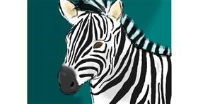 Zebra-Zeichnung von green