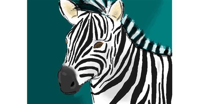 Drawing of Zebra by green