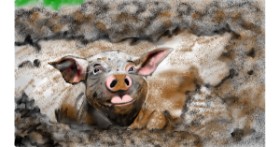 Drawing of Pig by Çhåching