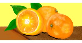 Drawing of Orange by DebbyLee