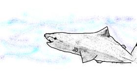 Drawing of Shark by Shaterstar