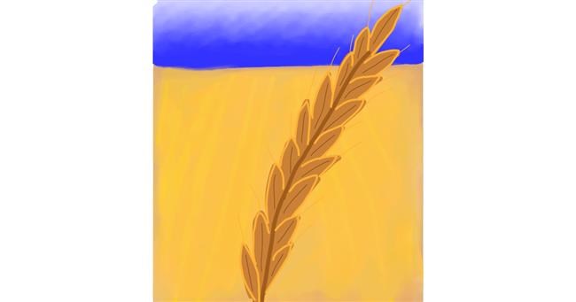 Drawing of Wheat by Hunter